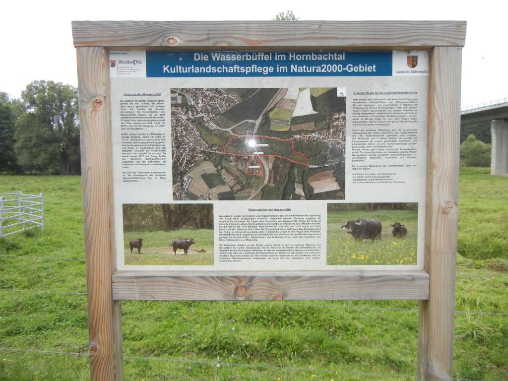 Gaestehaus Monika Hornbach Bagian luar foto